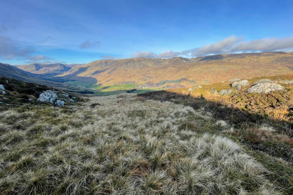 Scenic mountain landscape with grassy foreground